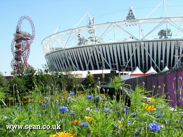 Photo of the Orbit, Stadium and wild flowers in London, UK